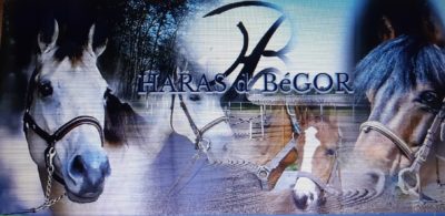 Affiche du Haras de Begor