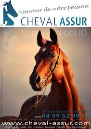 Cheval Assur