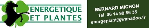 Énergétique et Plantes