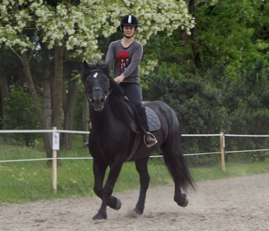 ECURIES DES LOUVES
