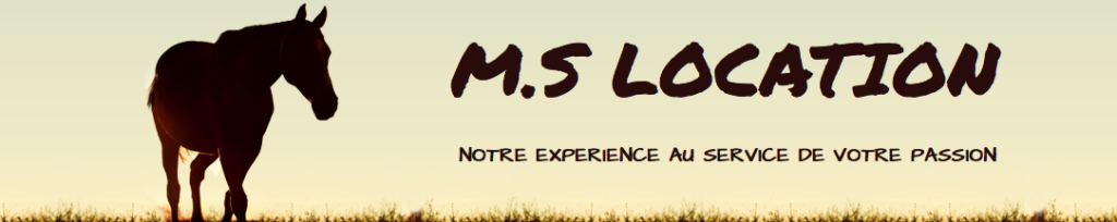 MS LOCATION