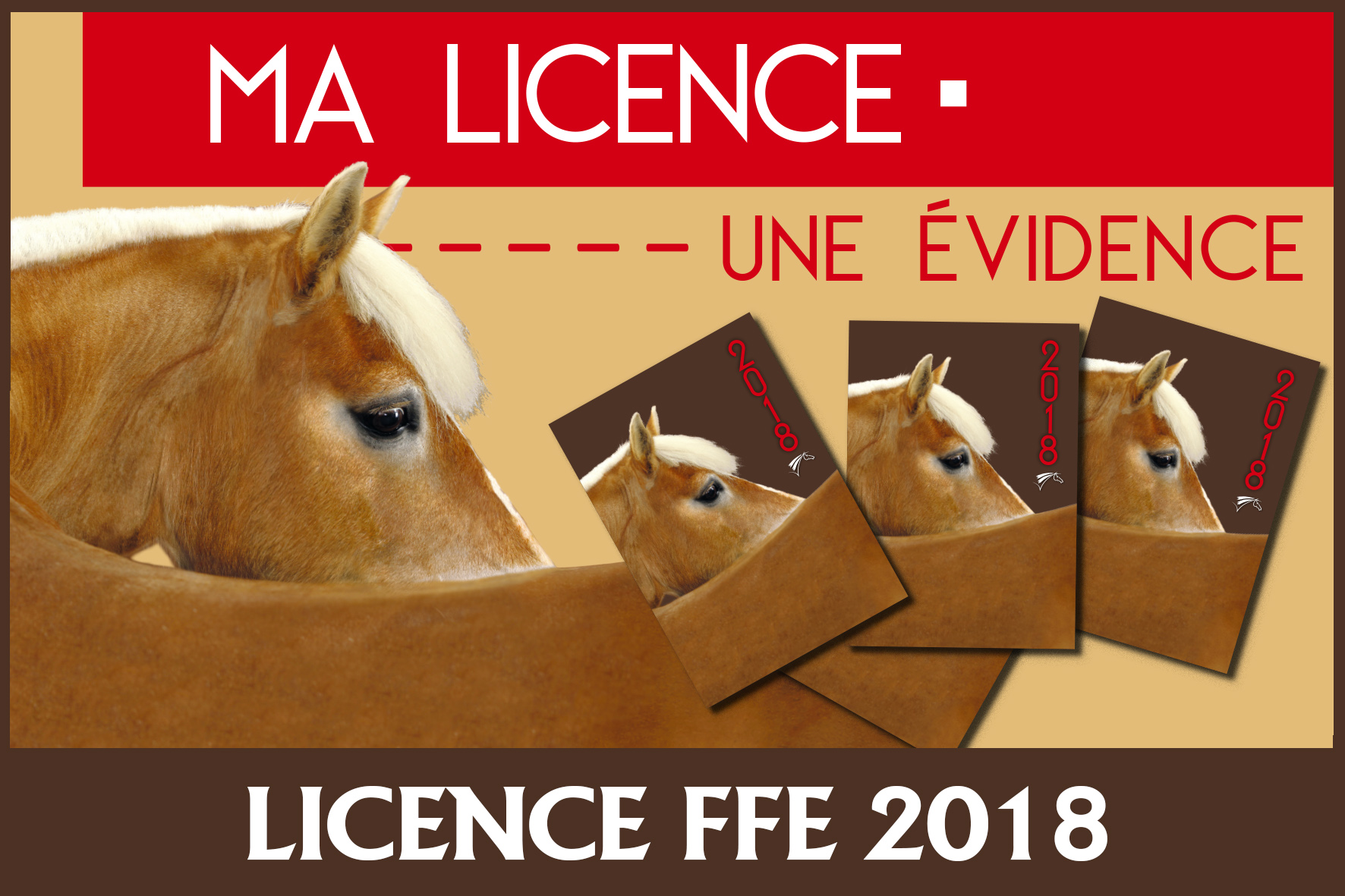Comment obtenir sa licence fédérale ? Cheval Partenaire