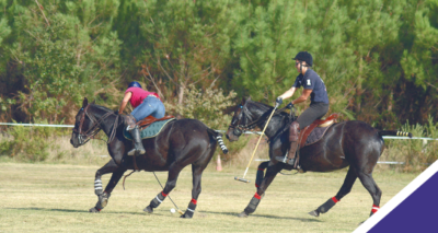 polo-cheval