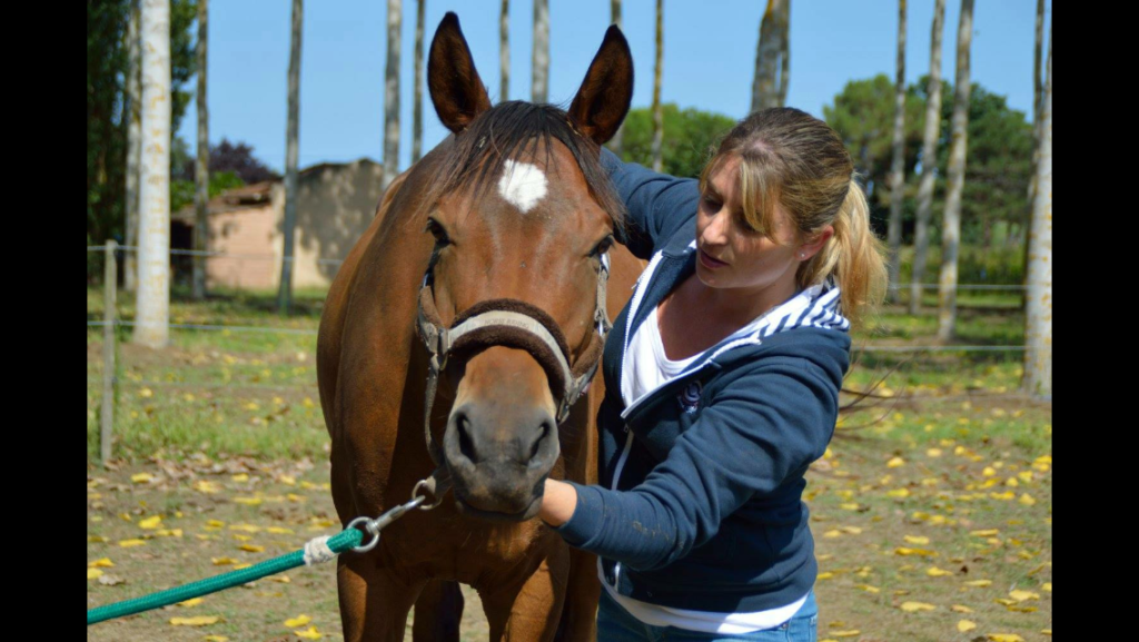 Clément Stéphanie – Praticienne Shiatsu Equin / physio-masso thérapie