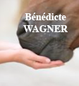 Bénédicte Wagner – Thérapie manuelle NST équine