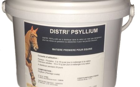 psyllium-colique-cheval
