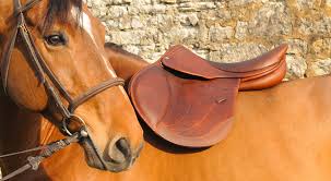 DR LINE SELLIER FRANCE