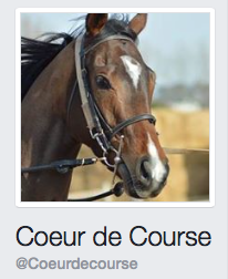 ASSOCIATION CŒUR DE COURSE