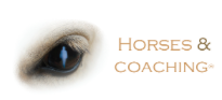 3GB HORSE & COACHING