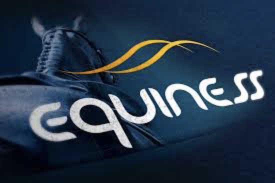 EQUINESS
