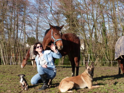 sandra-glories-communication-animale