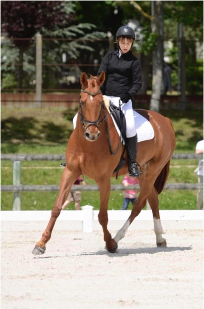 G.B EQUITATION