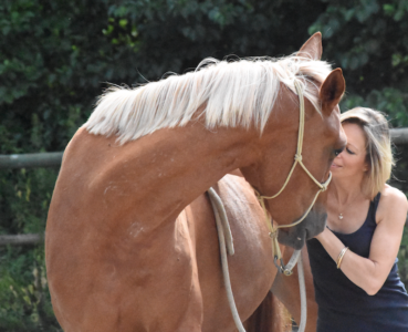 la relation avec les chevaux
