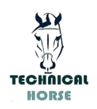 TECHNICAL HORSE