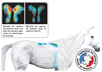 GT concept et capteur de pression amortisseur cheval