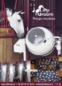 Les informations de My Groom