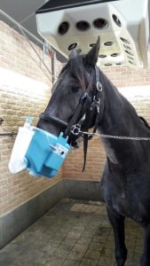 La clinique Equitom nous conseille sur les problèmes de respiration du cheval