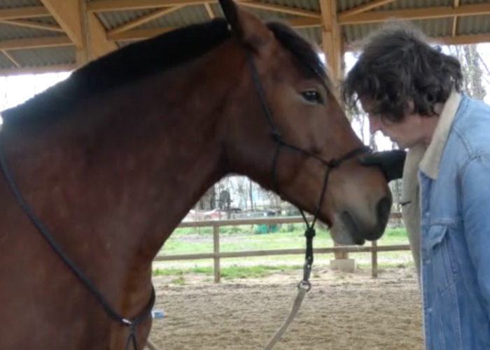 Renaud Subra et comment faire reculer son cheval