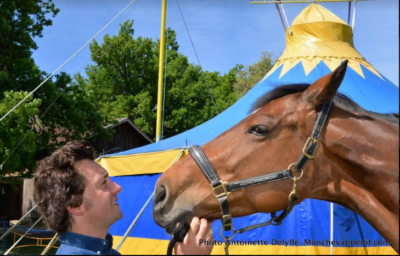 Sébastien Capelli l'homme de cheval
