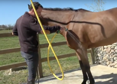 Désensibiliser son cheval à la douche