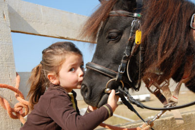 Le poney et la FFE