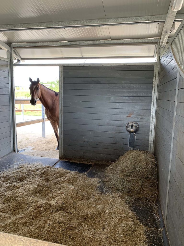 Les boxes du Haras de Mai | Cheval Partenaire