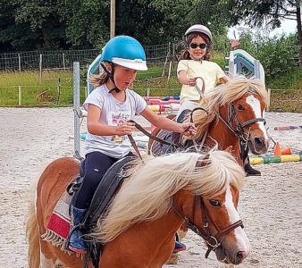 Le domaine d'Ecoline, écurie pour chevaux en Gironde