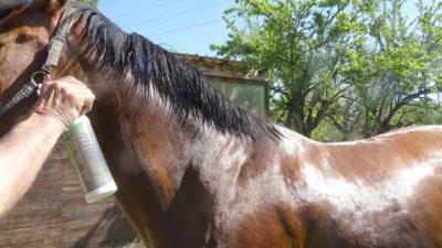 Le spray anti insectes pour chevaux de chez eK1n