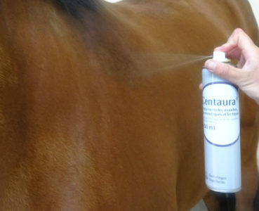 Le spray répulsif insectes Centaura pour cheval