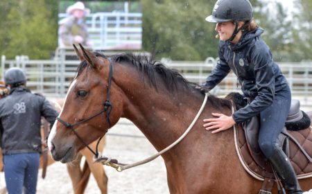 Calliane DECERLE la spécialiste du débourrage des chevaux